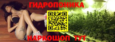 спиды Шебекино