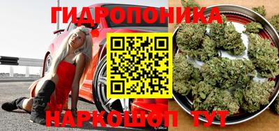 spice Шахты