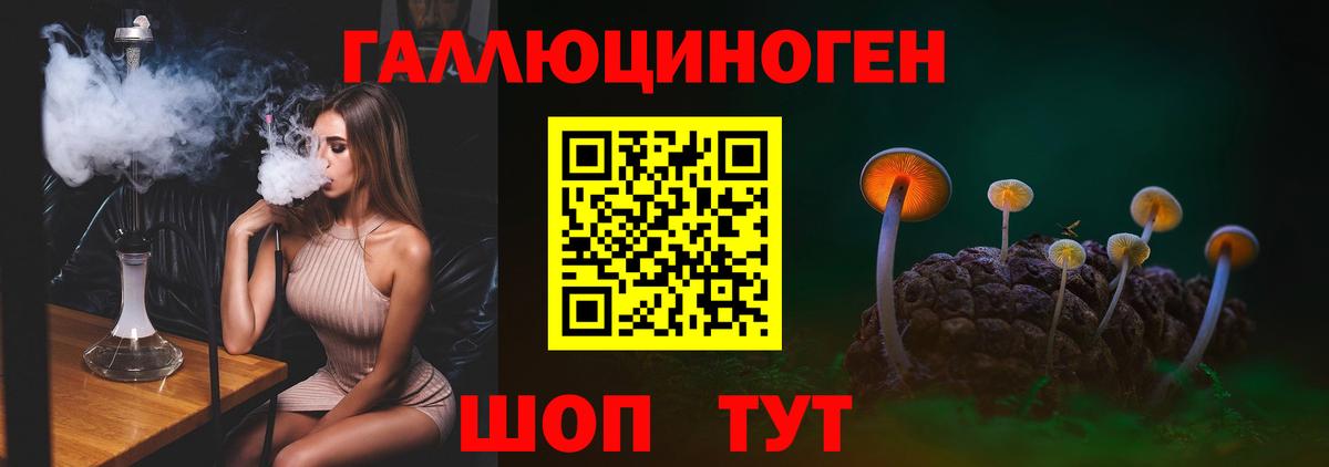 Псилоцибиновые грибы MAGIC MUSHROOMS  продажа наркотиков  Всеволожск  Галлюциногенные грибы Magic Shrooms  Вход с VPN 